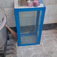 آکواریوم ماهی|ماهی|ری, علایین|دیوار