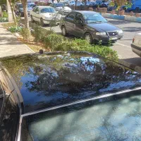 پارس تی فایو|خودرو سواری و وانت|خوی, |دیوار