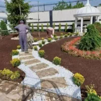 خدمات باغبانی گلکاری هرس کاری تعویض خاک گلدان|خدمات باغبانی و درختکاری|تهران, یوسف‌آباد|دیوار