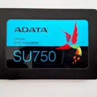 هارد SSD 256 GB|قطعات و لوازم جانبی رایانه|بندرعباس, |دیوار