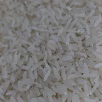 فروش برنج تایلندی