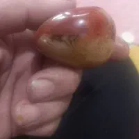 یک عدد سنگ عقیق اصل سلیمانی