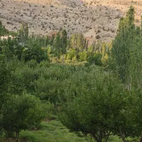 باغ-سیب-رودشیر-متراژ-2150