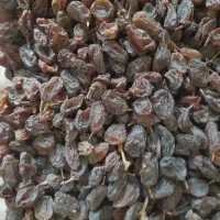 کشمش بی دانه درشت