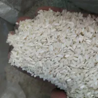 برنج عنبربو|خوردنی و آشامیدنی|ایذه, |دیوار