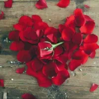 رهن خالی خونه درانصار۴