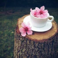 یک هدیه برای شما