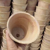 گلدان سفالی گل|صنایع دستی و سایر لوازم تزئینی|مشهد, شهرک ابوذر|دیوار