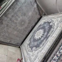 ۸۰ تخته فرش ۱۲۰۰ شانه اصل برند فوق لاکچری پاتریس|فرش|نوشهر, |دیوار