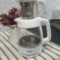 چایساز میگل