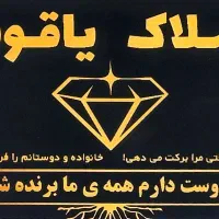 استخدام مشاور املاک