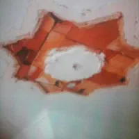 گچ کار خرده گچ، لکه گیری تخریب گچکار،ایزوگام