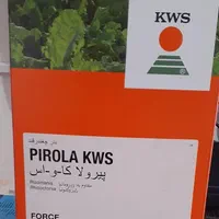 بذر چغندرقند وارداتی و داخلی تضمینی|عمدهفروشی|بیستون, |دیوار