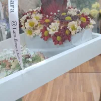 سوپرایز گل|گل و گیاه طبیعی|بندرعباس, |دیوار