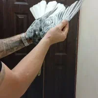 دمسفیدهمه مال یک بون|پرنده|اهواز, باغ شیخ|دیوار