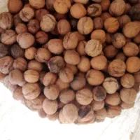 گردو تازه و خوش طعم خوانسار|خوردنی و آشامیدنی|خوانسار, |دیوار
