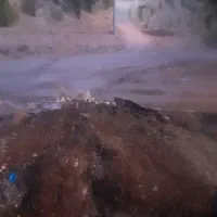 کود حیوانی(گوسفندی)