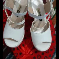 کفش مجلسی|کیف، کفش، کمربند|قم, نیروگاه|دیوار