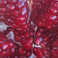 رب انار وشیره ی انگور طبیعی خونگی|خوردنی و آشامیدنی|شیراز, شهرک گلدشت حافظ|دیوار