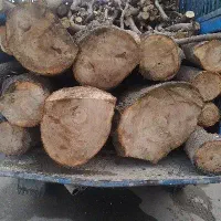 چوب و درختان باغی