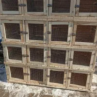 جفتگاه|اسباب و اثاث بچه|شیروان (خراسان), |دیوار