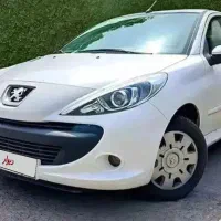 207 پانوراما خشک 1405 TU5P