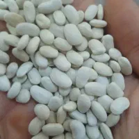 لوبیا درشت و کپسولی|خوردنی و آشامیدنی|الیگودرز, |دیوار