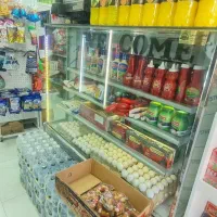 یخچال پروتیین ویترینی|فروشگاه و مغازه|مشهد, شاهد (شهرک غرب)|دیوار