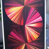 iPad Pro 11 inch 256 GB|تبلت|بندرعباس, |دیوار