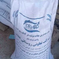 گندم آبی رقم پیشگام