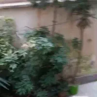 آپارتمان ۴۶ متری|اجارهٔ آپارتمان|تهران, جوادیه|دیوار