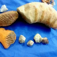 سنگ های قیمتی|جواهرات|قوچان, |دیوار