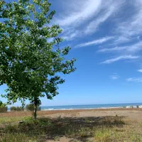 اجاره-هتل-آپارتمانVIPساحلی-ورودی-اختصاصی-به-دریا