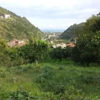 زمین سرولات