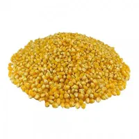 خشکبار و آجیل شب یلدا|خوردنی و آشامیدنی|سمنان, |دیوار