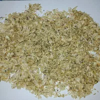 علوفه|عمدهفروشی|اردبیل, |دیوار