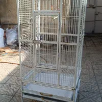 قفس کاسکو