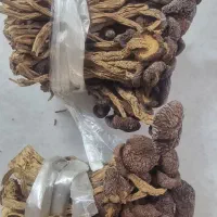 قارچ شیتاکه خشک وارداتی چین درجه یک - ۲۰۰ بسته