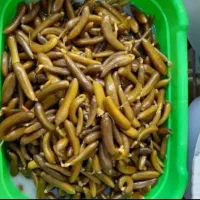 خیار شور ویژه رویال