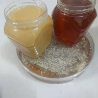 عسل فوق درمانی مرند(آذربایجان)