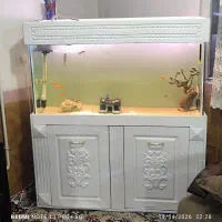 آکواریوم شیشه سکوریت