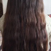 مرکزاصلی خریدموطبیعی