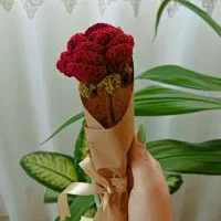 سفارش انواع شاخه گل و دسته گل بافتنی.عمده و تک|گل مصنوعی|شیراز, لاله|دیوار