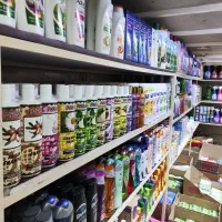 نیروی کار بازنشسته آقا