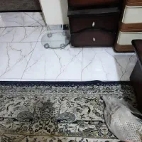 حراج لوازم منزل|حراج|بومهن, |دیوار