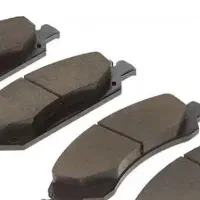 لنت ایرانی کارینو