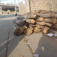 فروش چوب|عمده‌فروشی|سنندج, |دیوار