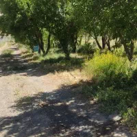 باغ سند دار