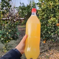 فروش محصولات ارگانیک و خانگی کاملا طبیعی|خوردنی و آشامیدنی|رشت, سلیمانداراب|دیوار