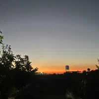 باغ